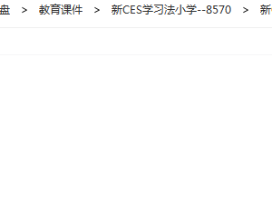 新CES学习法小学视频教程 小学三科