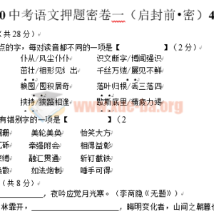 2020中考语文押题密卷Word文档下载