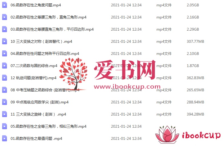 ZYB 王杭州 2020春 中考数学尖端班（12讲）插图爱书网–中小学课件学习
