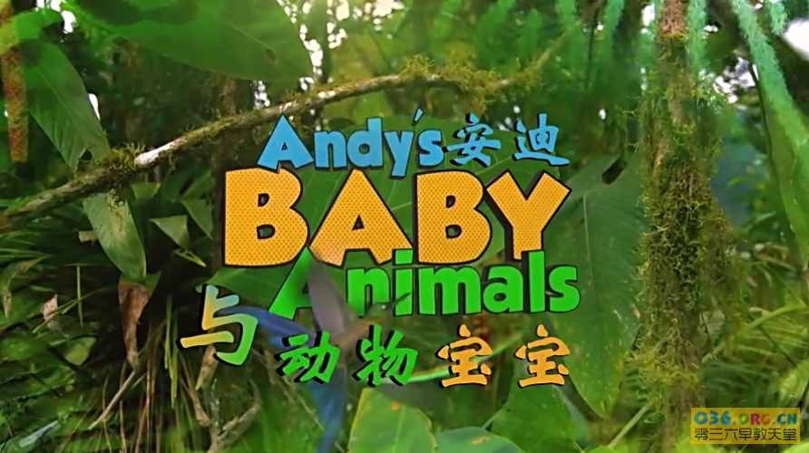 英国BBC动物科普动画片《安迪与动物宝宝》中文版 又名：安迪的动物宝宝 全20集 MP4格式/高清 百度网盘下载