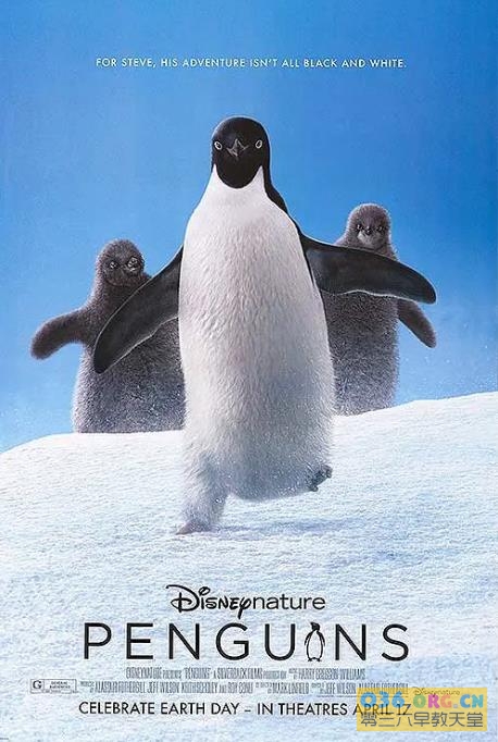 2019迪士尼自然出品纪录片《企鹅小萌萌 Penguins》英语发音/中英双字 MP4格式/1080P超清 百度云网盘下载