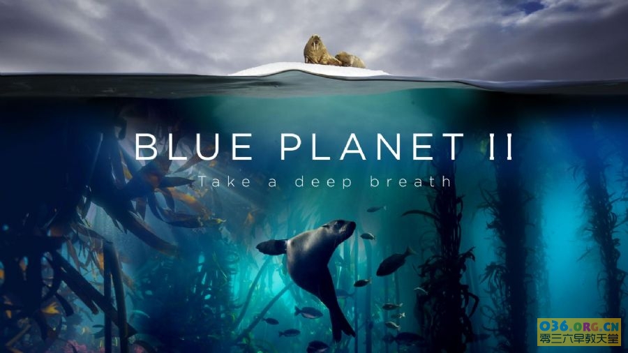 BBC自然科普纪录片《蓝色星球 Blue Planet》英文版 第2季（2017） 全7集 英语/中英文字幕 mkv/1080P超清 百度网盘下载