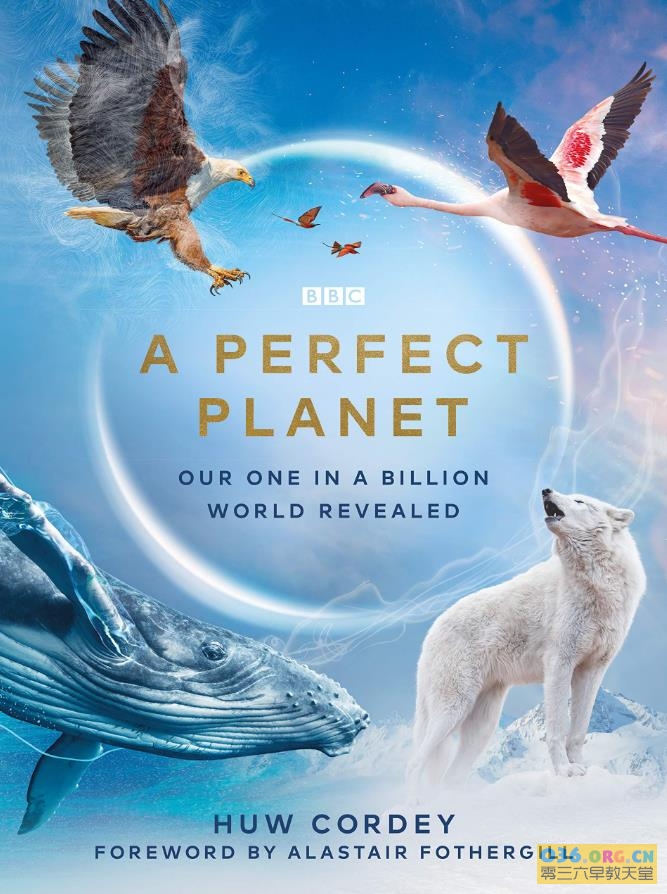 BBC自然科普纪录片《完美星球 A Perfect Planet》中文版 全5集 国语/中英文字幕 MP4/1080P超清 百度网盘下载