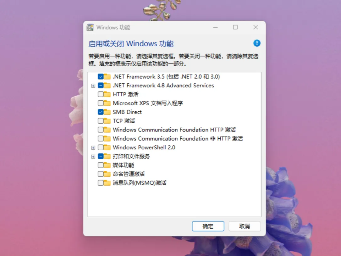 【hnw520】Windows11 24H2 26100.1301 精简版插图1thewindows